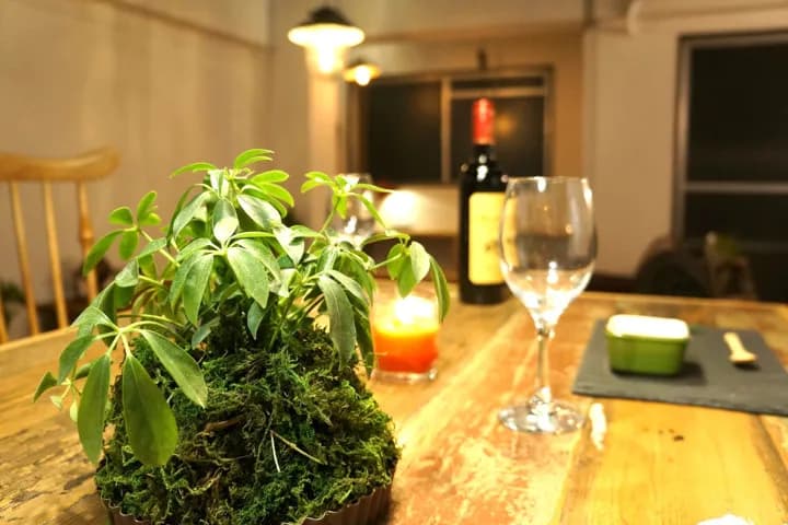 JONO APARTMENT — JONO APARTMENT #505 — photo 5