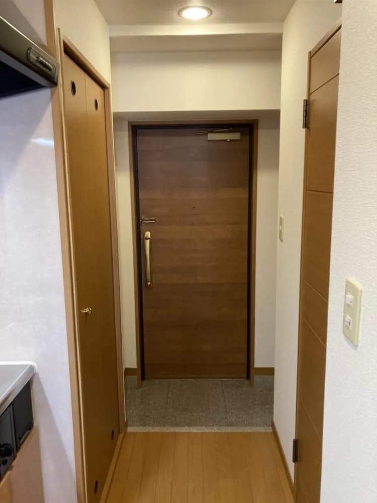 Asumirai H-041 — photo 3